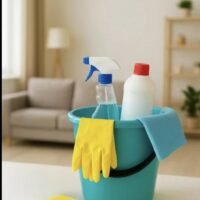 LIMPIADORA PROFESIONAL Y DE CONFIANZA