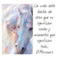 Soldados de la vida.Alquimistas luchadores.